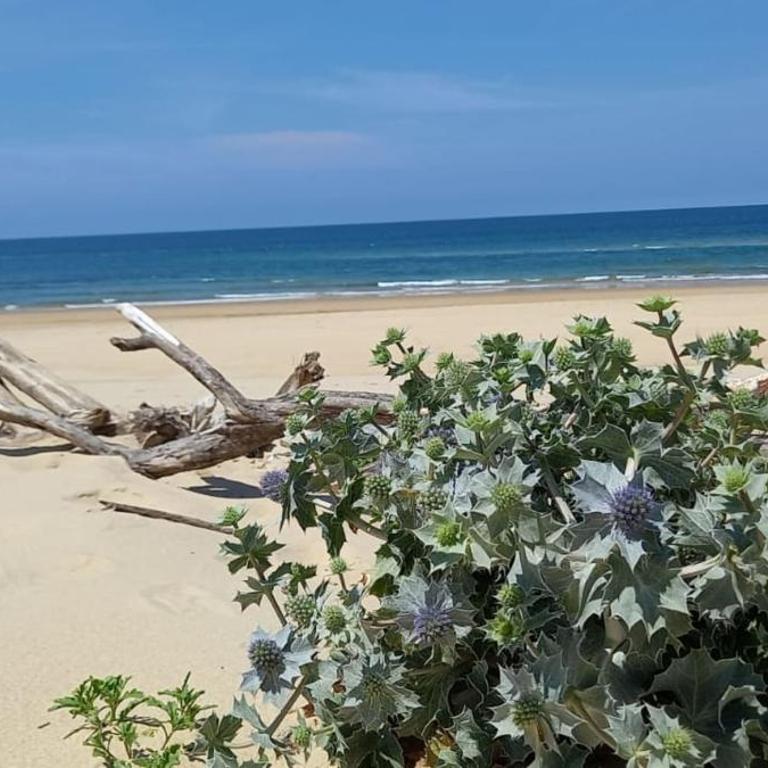 Beautiful 3 rooms with terrace near the ocean - Appartement - 19