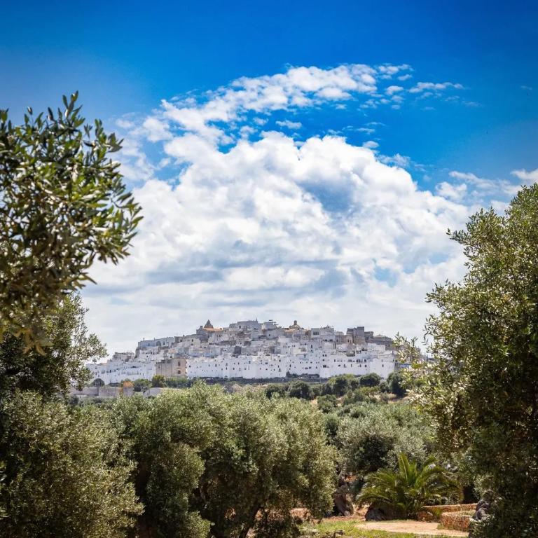 Ostuni Cervarolo Villa 3 bedrooms Pool Olive Grove near the Sea - Deluxe Villa - 94