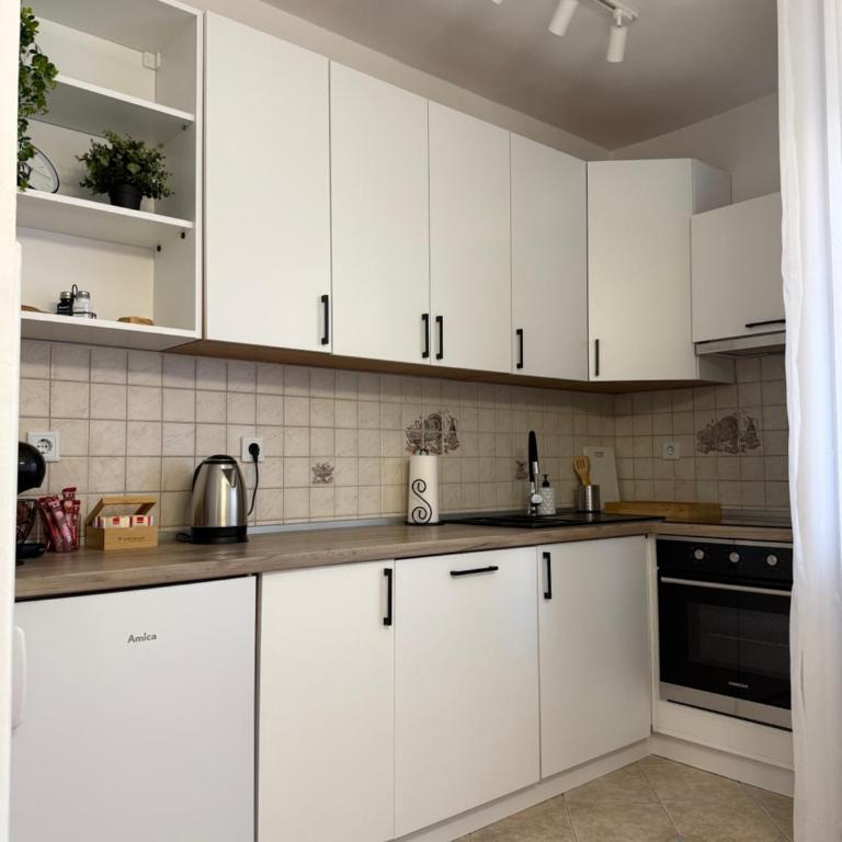 A&L Luxury Apartment - Apartman sa 1 Spavaćom Sobom - 6