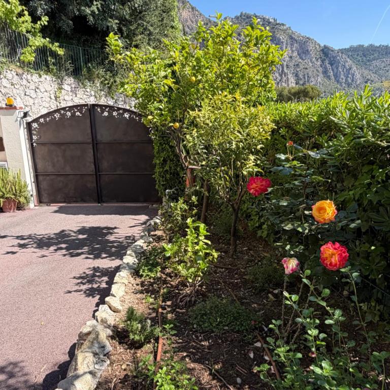 Chez Scott - Appartement - 9