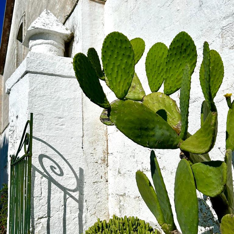 Ostuni Cervarolo Villa 3 bedrooms Pool Olive Grove near the Sea - Deluxe Villa - 97