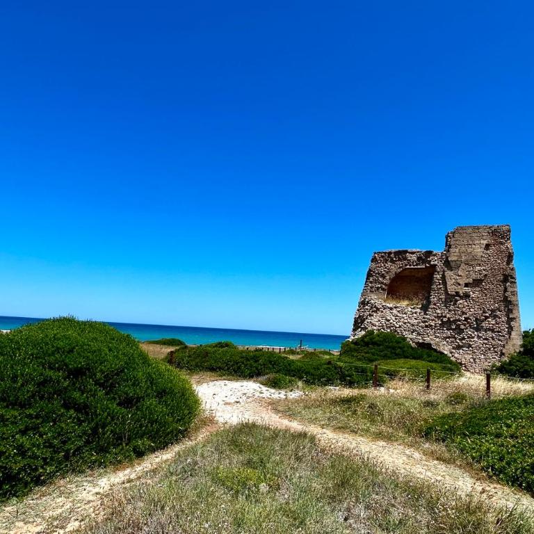 Ostuni Cervarolo Villa 3 bedrooms Pool Olive Grove near the Sea - Deluxe Villa - 91
