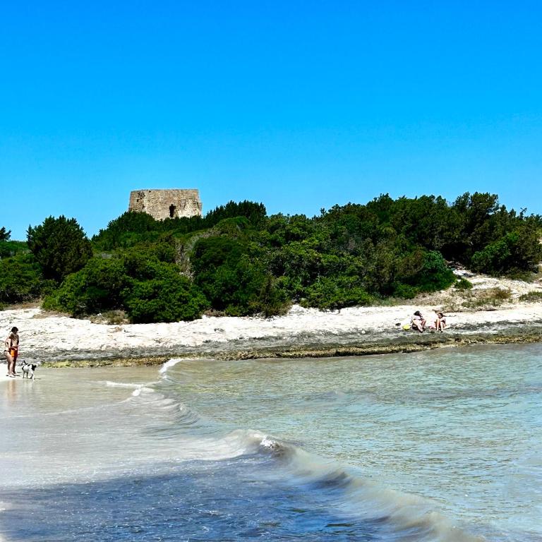 Ostuni Cervarolo Villa 3 bedrooms Pool Olive Grove near the Sea - Deluxe Villa - 90