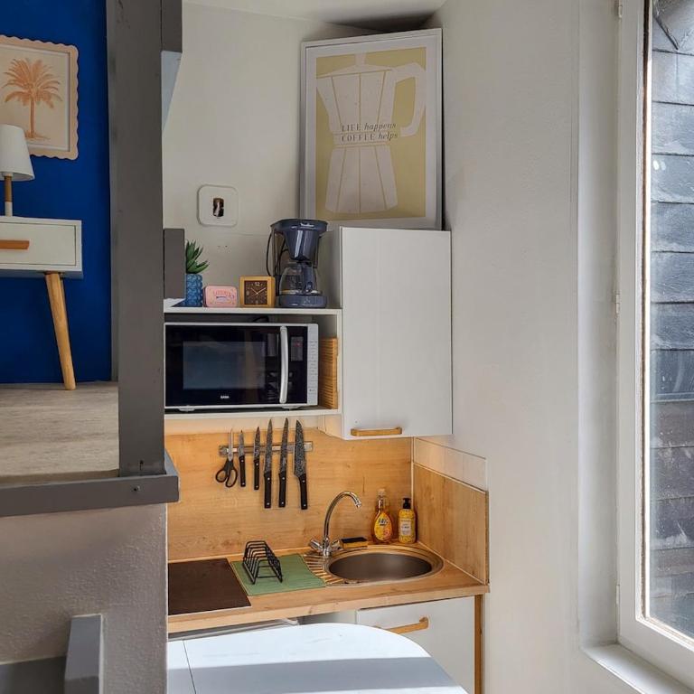 Cocon Calme Centre de Rouen - One-Bedroom Apartment - 21