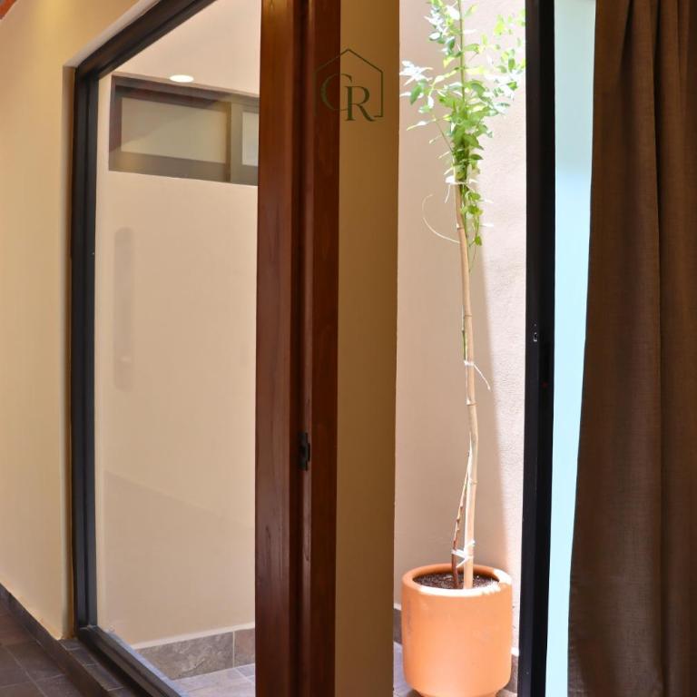 CASA BÓVEDA - 3BR 3BA Home 4 Blocks from Zócalo - Maison 3 Chambres - 14
