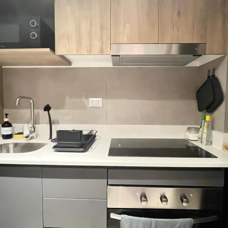 Fully Equipped Apartment in Santiago - One-Bedroom Apartment - 14