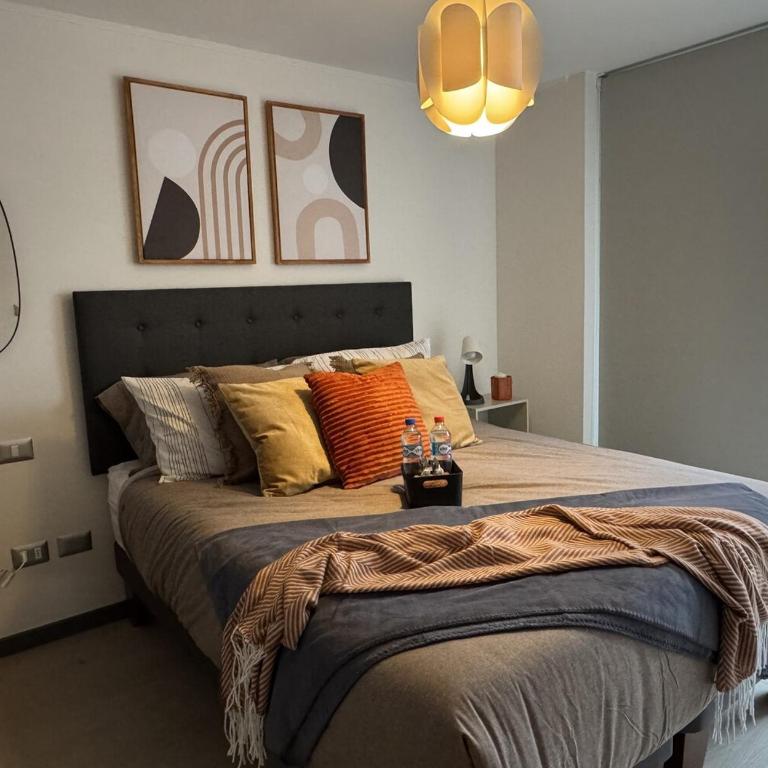 Fully Equipped Apartment in Santiago - One-Bedroom Apartment - 32