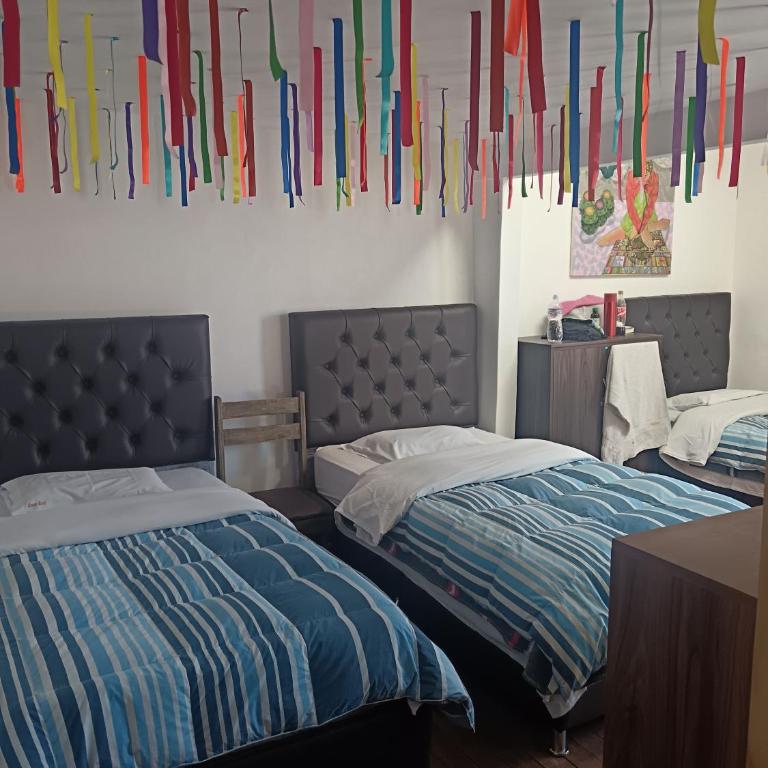 Auquis Hostel - Single Bed in 4-Bed Dormitory Room - 3