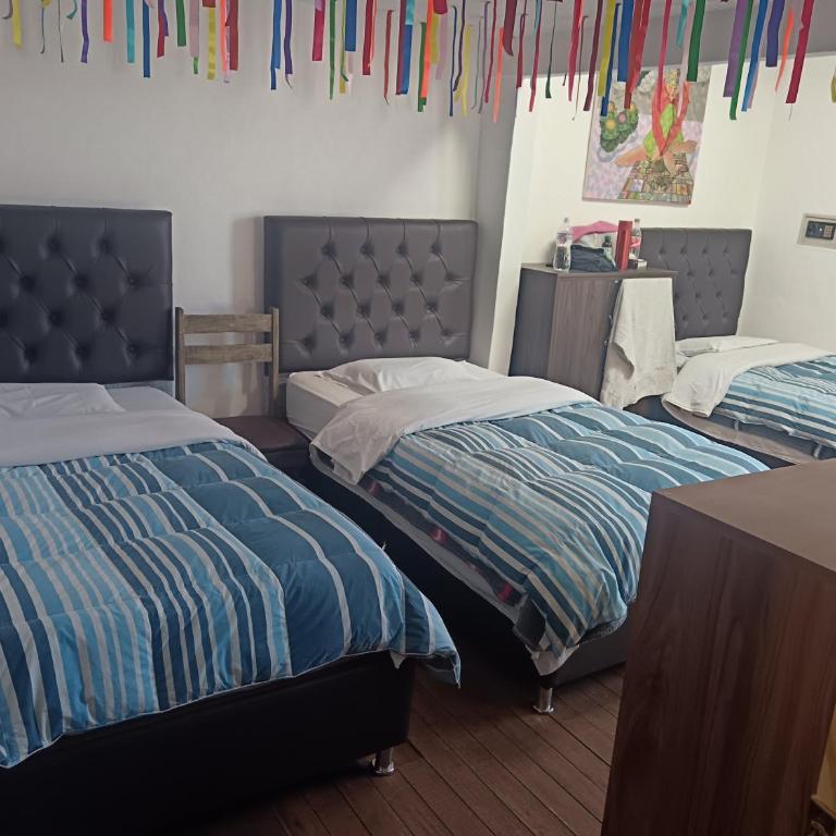 Auquis Hostel - Single Bed in 4-Bed Dormitory Room - 4