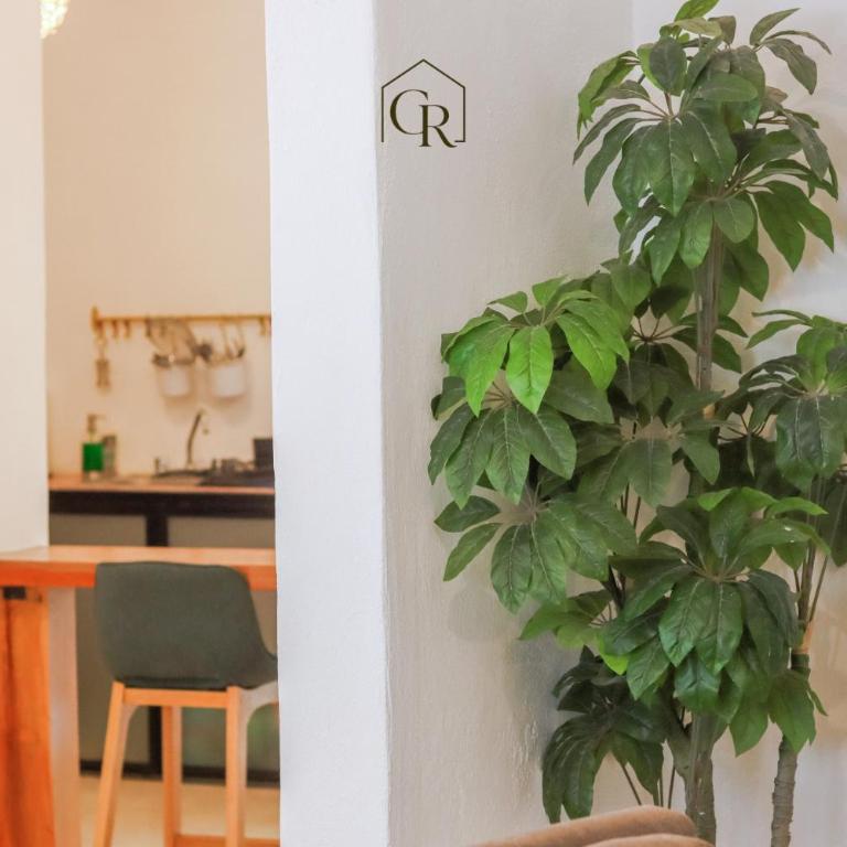 CASA SAVIA - 5BR 4BA Downtown House with Private Patio & Terrace - Maison 5 Chambres - 14