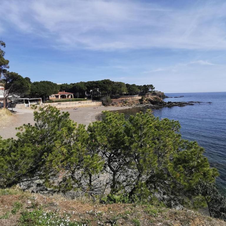 Apartamento tranquilo cerca de la playa - 4 pers. - ES-89-151 - Apartment - 34