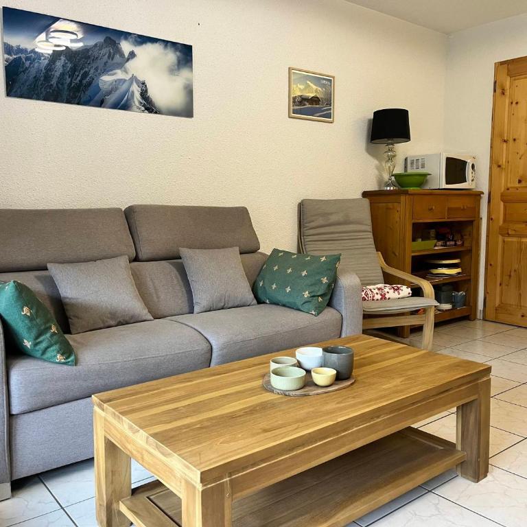 Appartement au centre du village - FR-1-624-194 - Apartment - 2