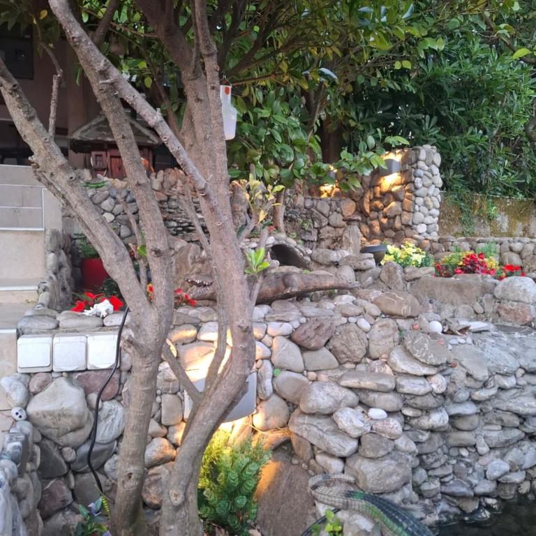 Apartmani Paulino - Apartman sa 1 Spavaćom Sobom - 17
