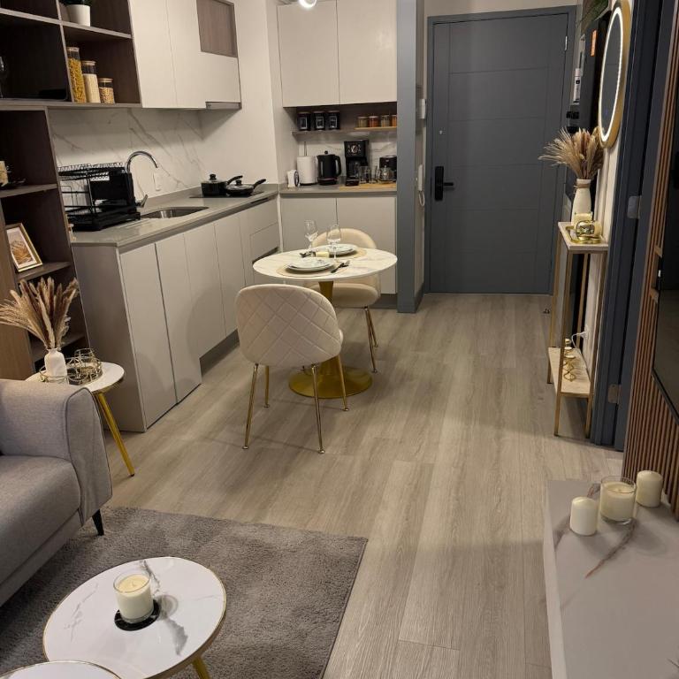 Departamento Suite en Santiago - One-Bedroom Apartment - 25