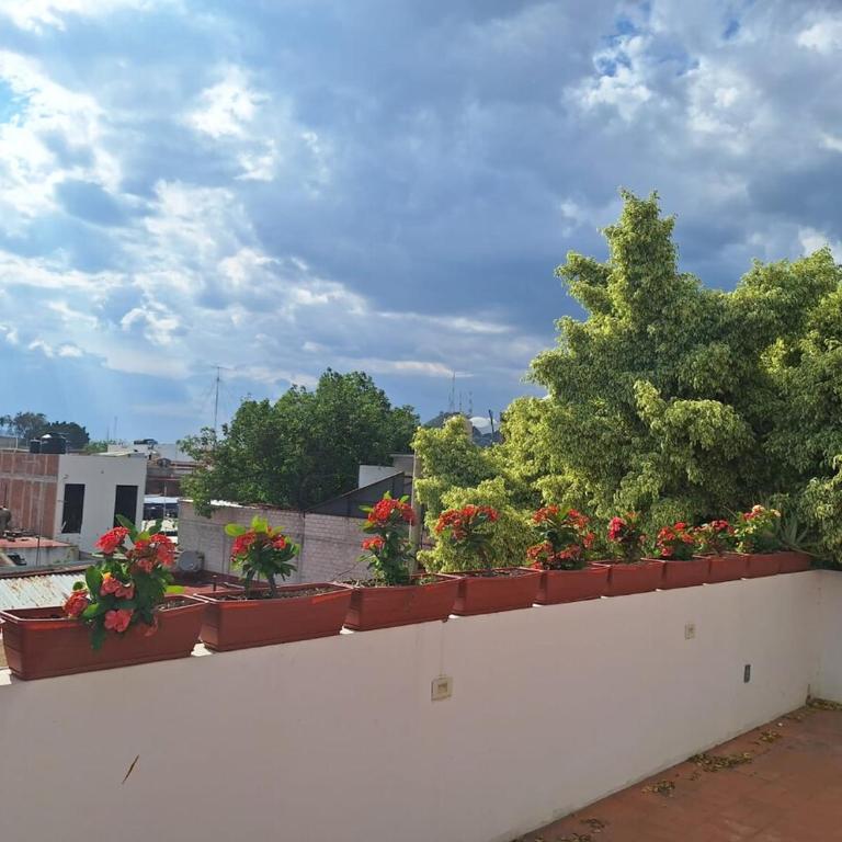 comfortable, spacious, central with a pool and terrace - Three-Bedroom Apartment - 2