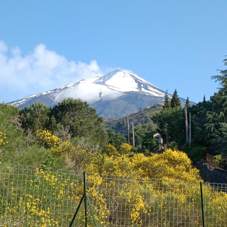 Etna Country Home - Chalet con 1 Camera da Letto - 62