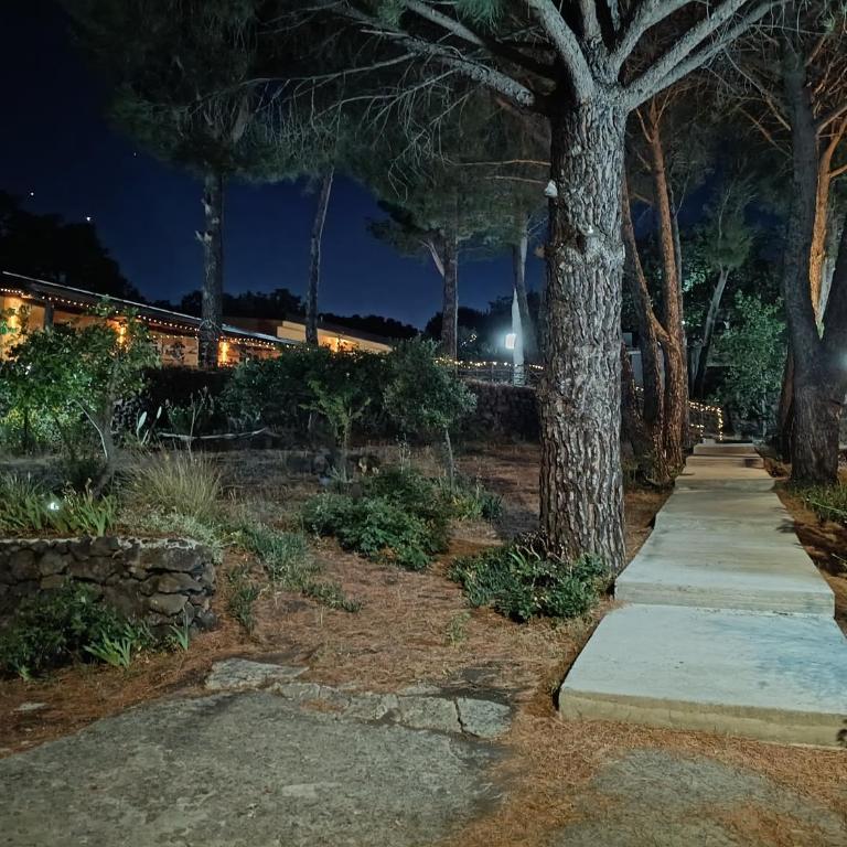 Etna Country Home - Chalet con 1 Camera da Letto - 65