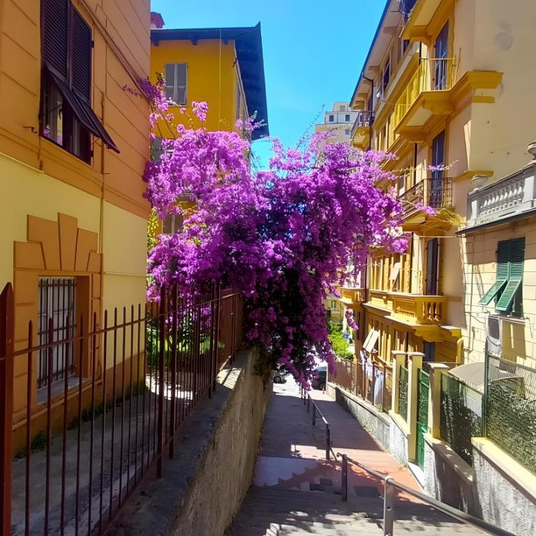 La casa di Licia - Apartamento Deluxe de 2 dormitorios con vistas al jardín - 27