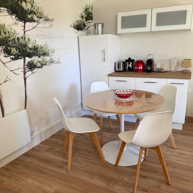 NOUVEAU - Splendide T2 Neuf au Calme en Ville d'Hiver à 5 mn de la plage et du Centre Ville - One-Bedroom Apartment - 8