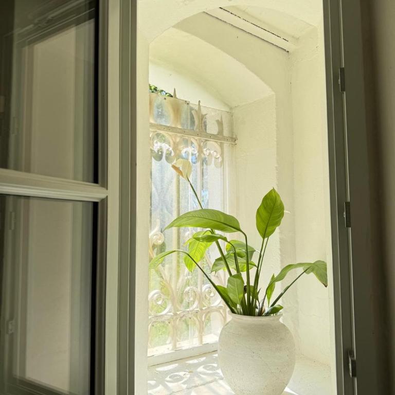 NOUVEAU - Splendide T2 Neuf au Calme en Ville d'Hiver à 5 mn de la plage et du Centre Ville - One-Bedroom Apartment - 16