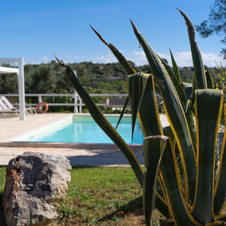 Trullo Theodoro Puglia - Villa con Piscina Privata - 24