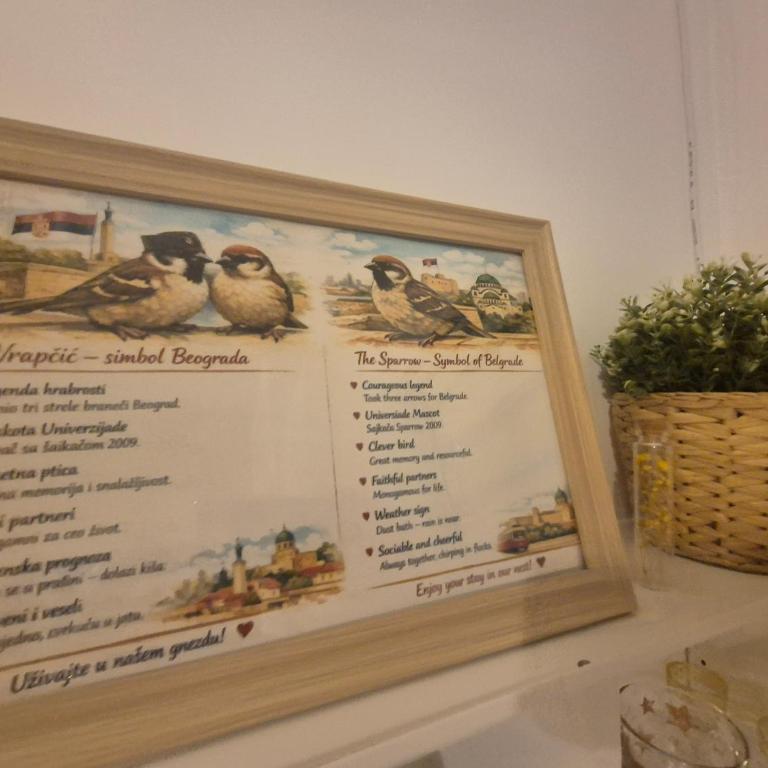 Vrapčići sa Vračara - Studio-Apartment - 4