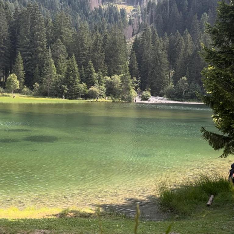 Chalet Val di Sole - Sentieri & Mountain view - Chalet - 31
