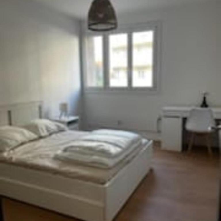 Big renovated flat with balcony 10 min out - Apartment - 12
