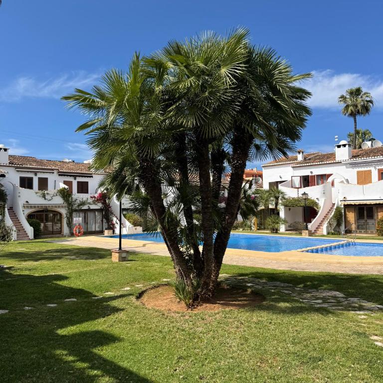 Tropicana Park - Maison 1 Chambre - 17