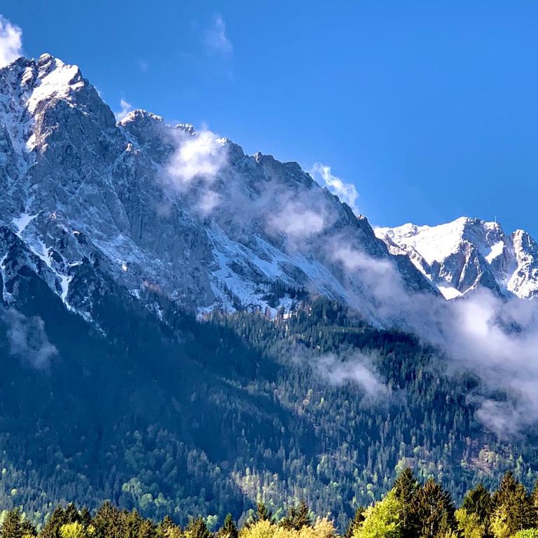 Chalet Zugspitze - Villa - 12
