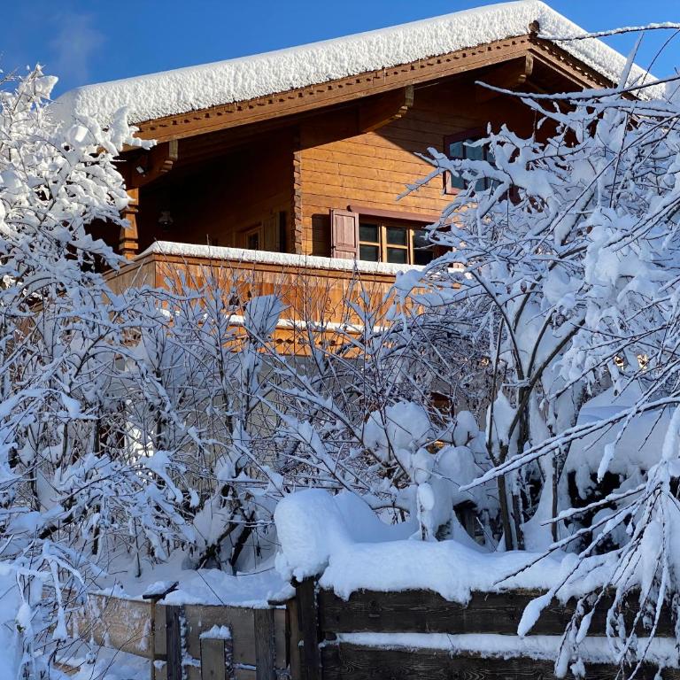 Chalet Zugspitze - Villa - 3