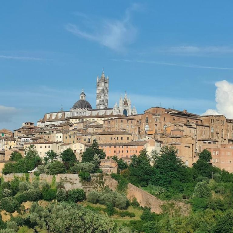 Siena Centrale- ZTL Free- Parcheggio gratis - Appartamento con 2 Camere da Letto - 14