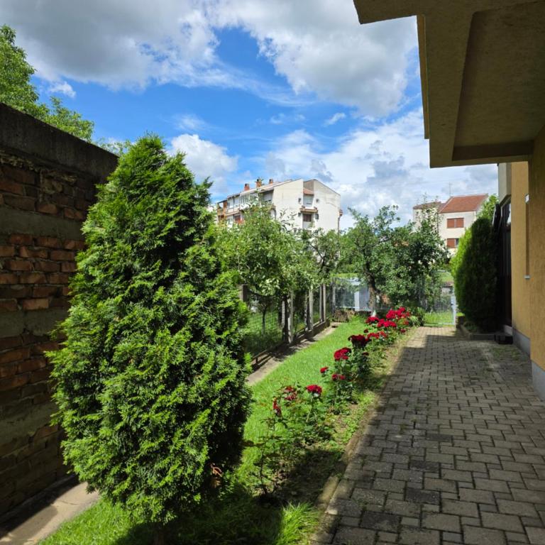 Apartmani Central 6 & Free Parking - One-Bedroom Apartment - 12