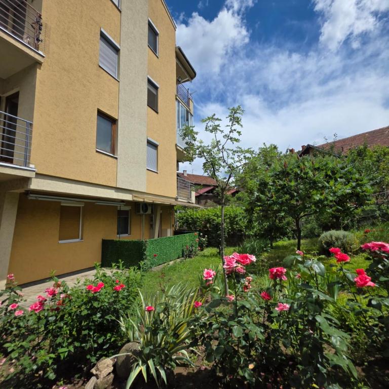 Apartmani Central 6 & Free Parking - One-Bedroom Apartment - 14