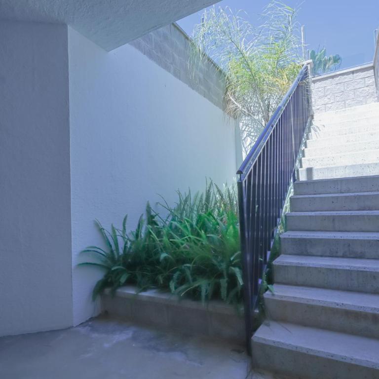 Apartamento en Punta Prima Oasis Beach IX - 2-Zimmer-Apartment - 21