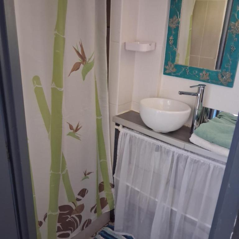Maisonnette mitoyenne andernos - Maison 1 Chambre - 10
