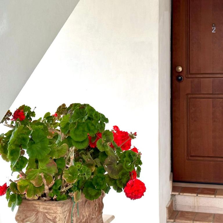 S327 - Sirolo, comodo bilocale ben accessoriato - Apartamento de 1 dormitorio - 5