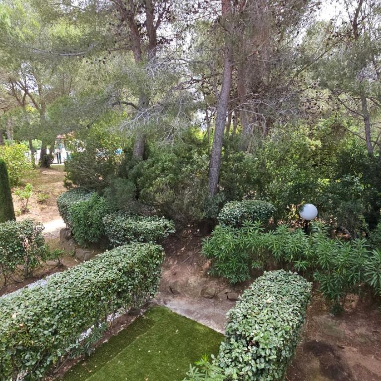 Apartment Gioia, strandnah, familienfreundlich, Garage, Pool by Riviera Homelife Managment - Appartement avec Terrasse - 22