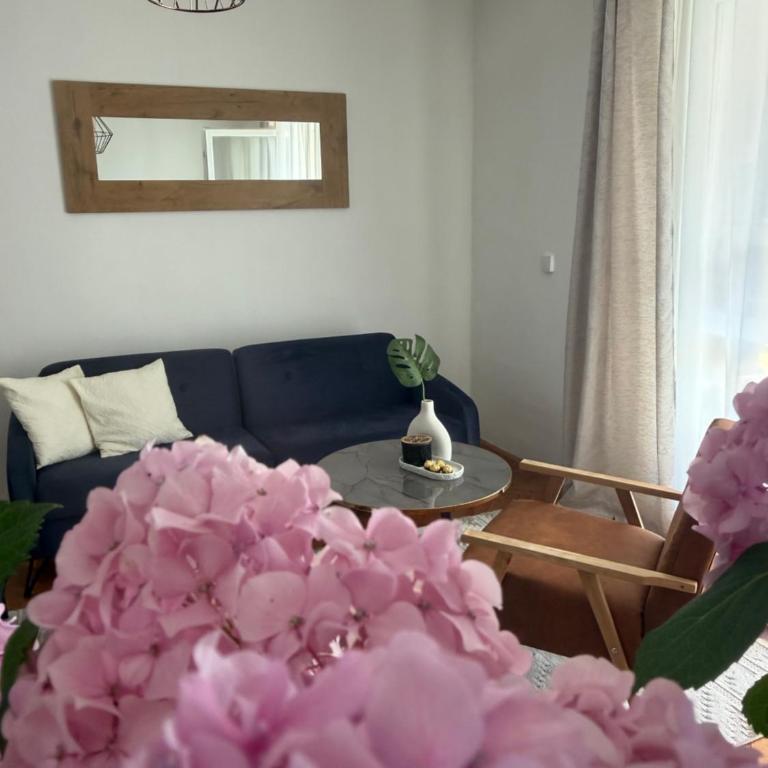 Stan na dan Mama Leone - Apartman sa 1 Spavaćom Sobom - 16