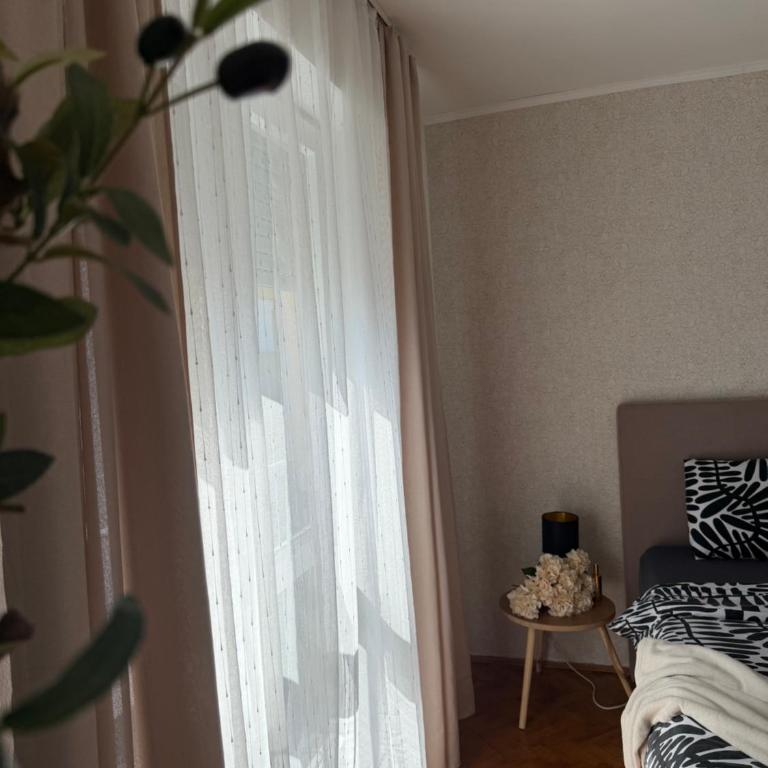 Stan na dan Mama Leone - Apartman sa 1 Spavaćom Sobom - 27