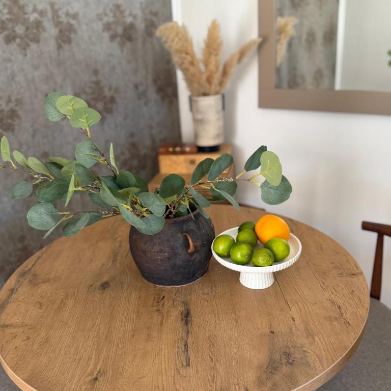 Stan na dan Mama Leone - Apartman sa 1 Spavaćom Sobom - 46