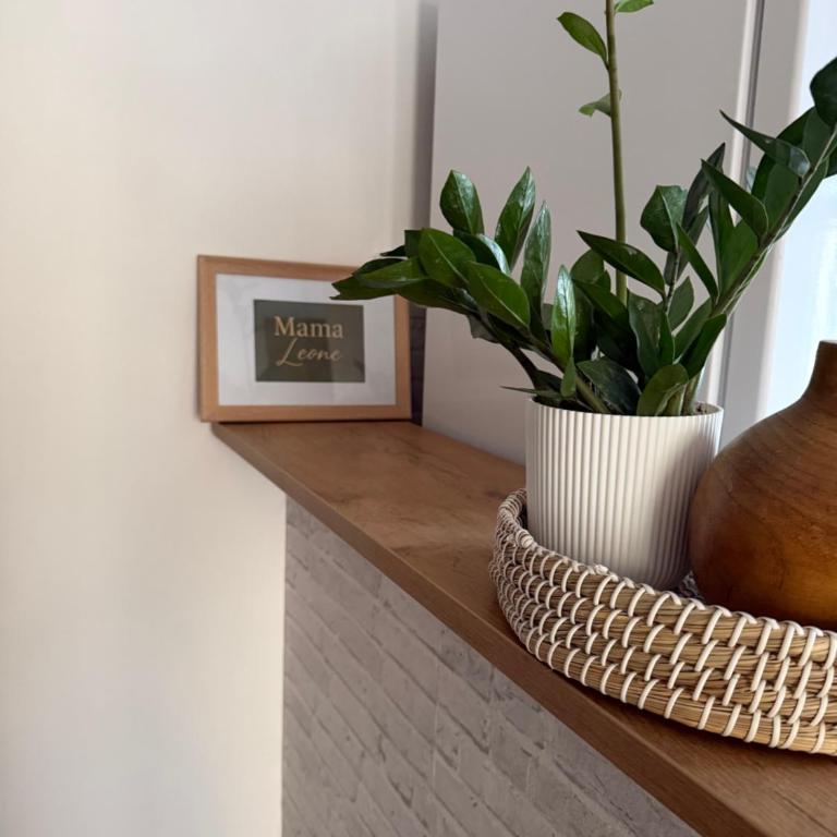 Stan na dan Mama Leone - Apartman sa 1 Spavaćom Sobom - 55