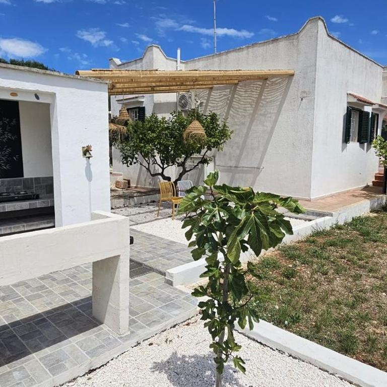 Il Trullino di Vallegna - Villa de 2 dormitorios - 28