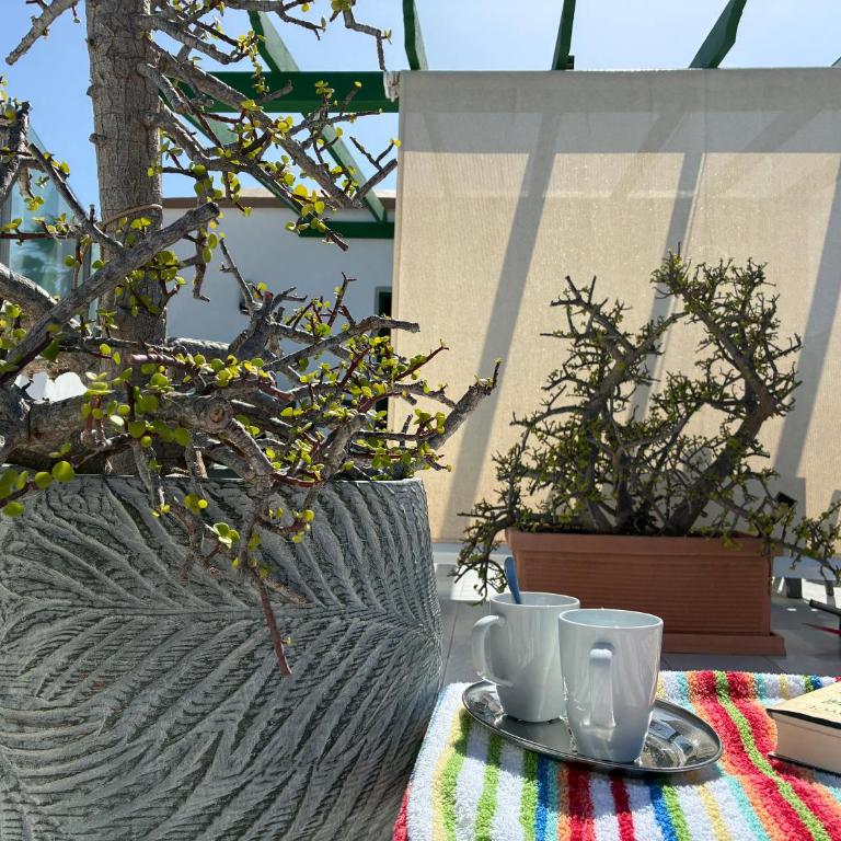 Apartamento La Barca "Rooftop BBQ Chill-out with Top View" - Appartement 1 Chambre - 63