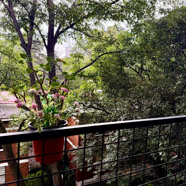 Sur CDMX l Cerca de Estado Banorte UNAM Coyoacan l Con estacionamiento - Appartement 2 Chambres - 9