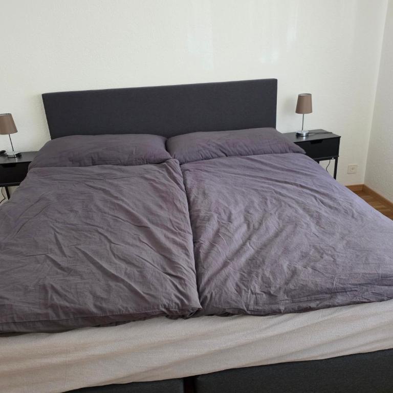 Diana 1 appartement spacieux 5 pièces - Apartment mit 4 Schlafzimmern und einem Balkon - 22