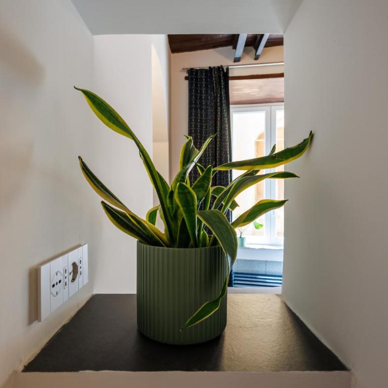 FelyApartment - Historic City Center District - Apartment mit 3 Schlafzimmern - 12