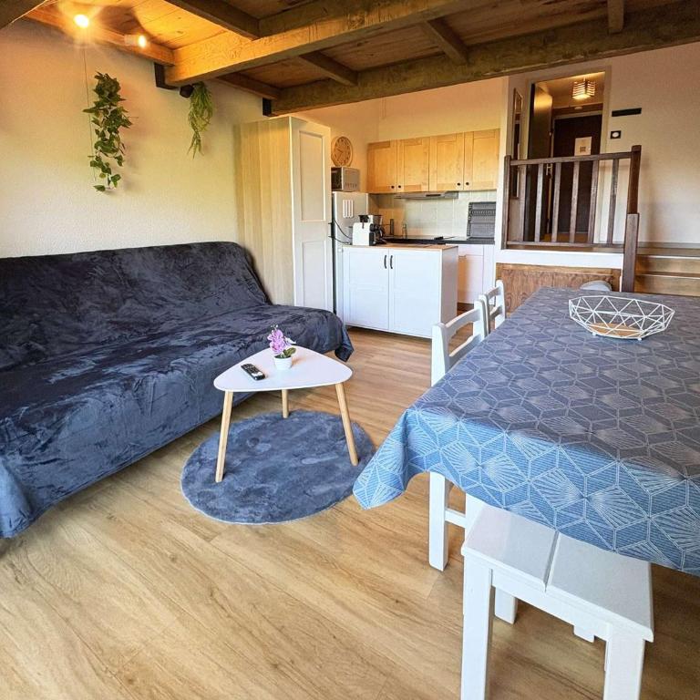 Joli studio RDC, 4 pers, centre station, accès direct pistes - FR-1-322-390 - Appartamento (4 Adulti) - 12