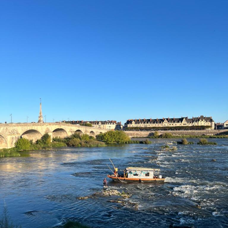 Vue imprenable sur la Loire - Centre historique de Blois - 116m2 - Appartamento con 3 Camere da Letto - 37