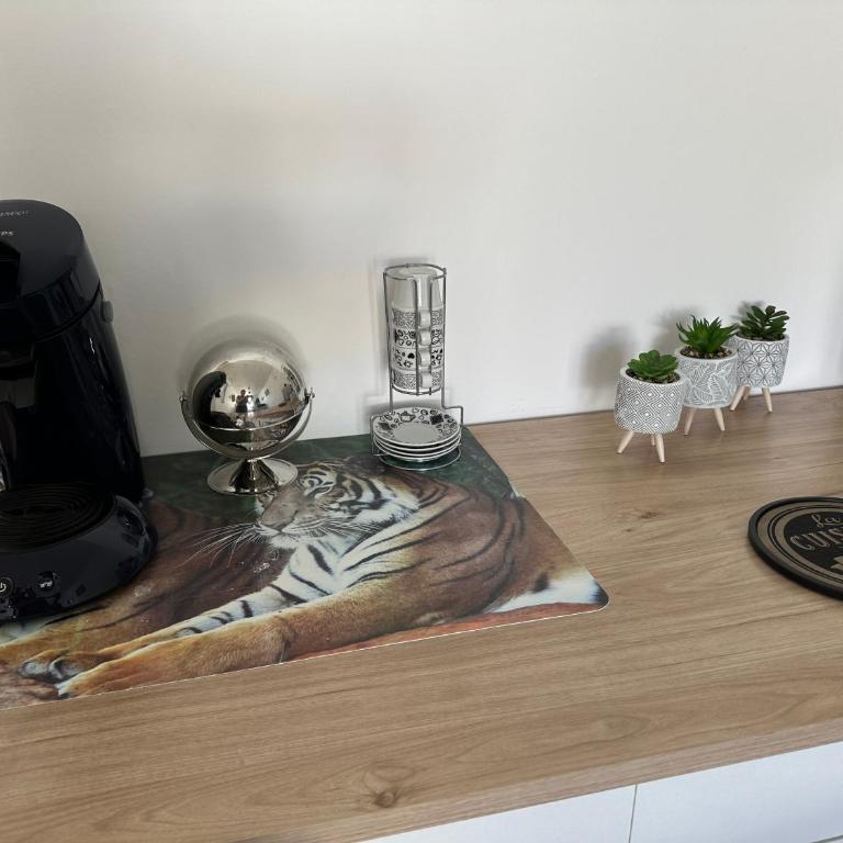 Appartement T2, 4 couchages avec Terrasse privée, tout proche de la cure thermale, centre-ville - Apartment mit 1 Schlafzimmer - 35